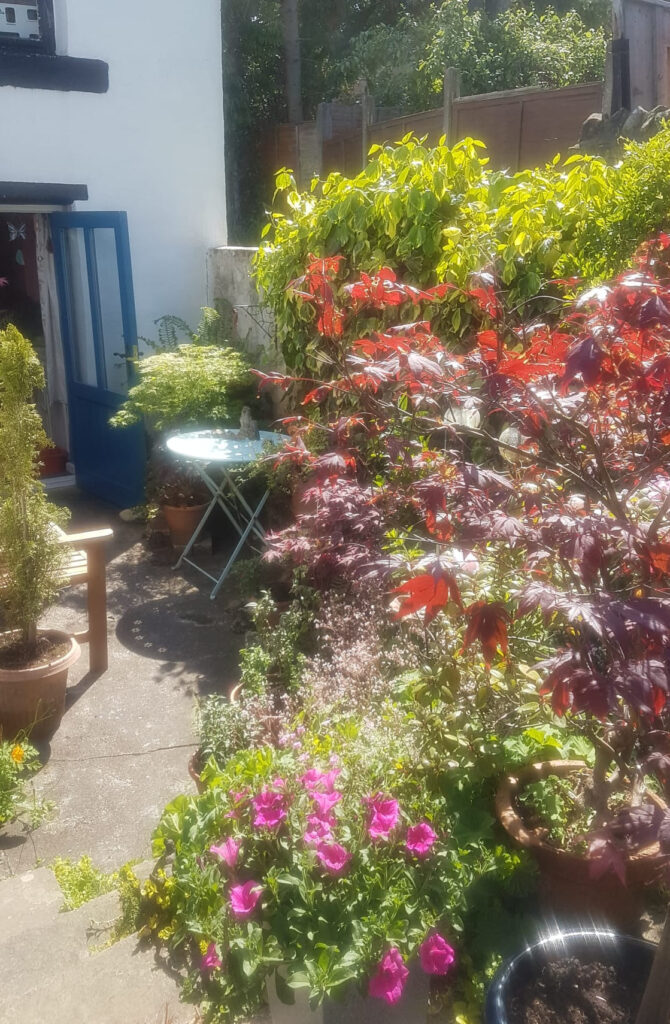 Garden at Edge End Cottage