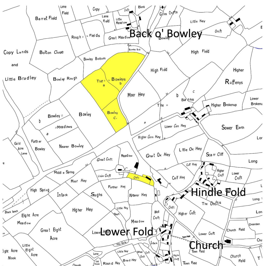 Plan showing Ryley's Tenement.