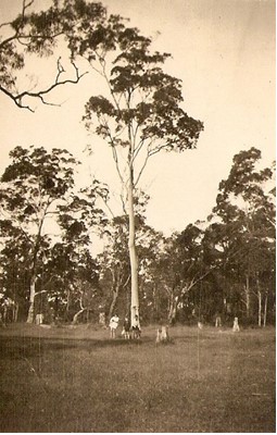 Block of land at Shortland