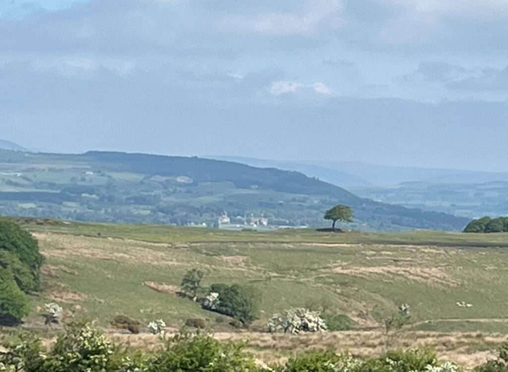 Zoom to Stonyhurst