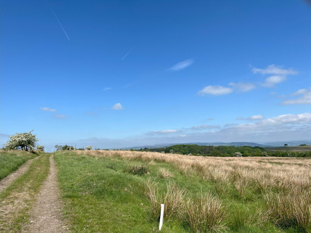 path from Cow Hey to now gone School Lands