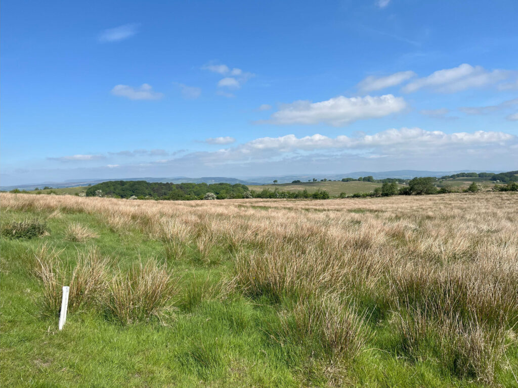 View at the top of the moor