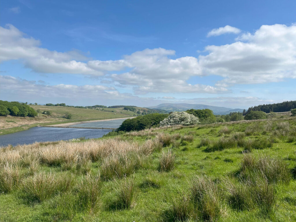 Reservoir Pendle and Bowley